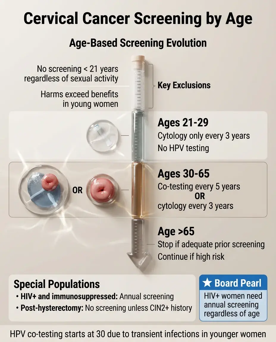 Solid White Background