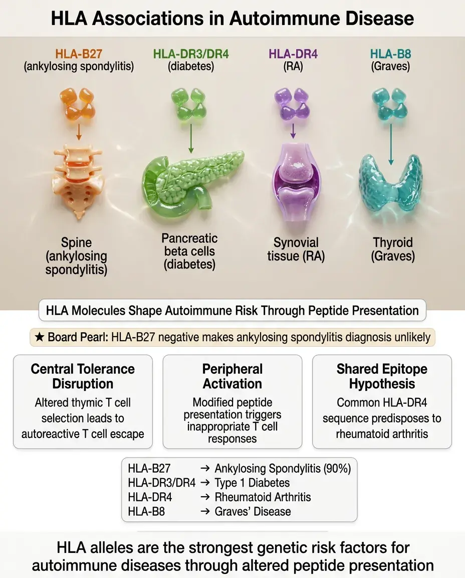 Solid White Background