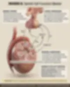 Solid White Background