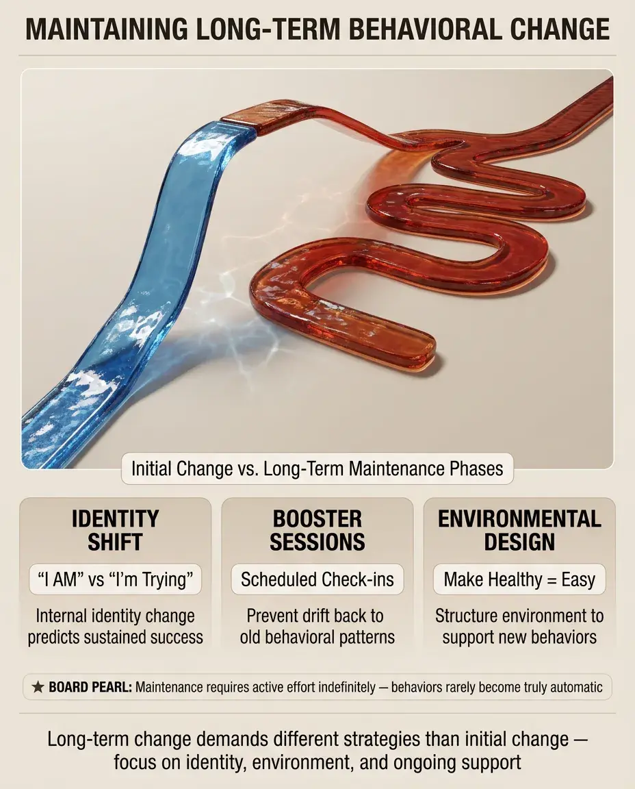 Solid White Background