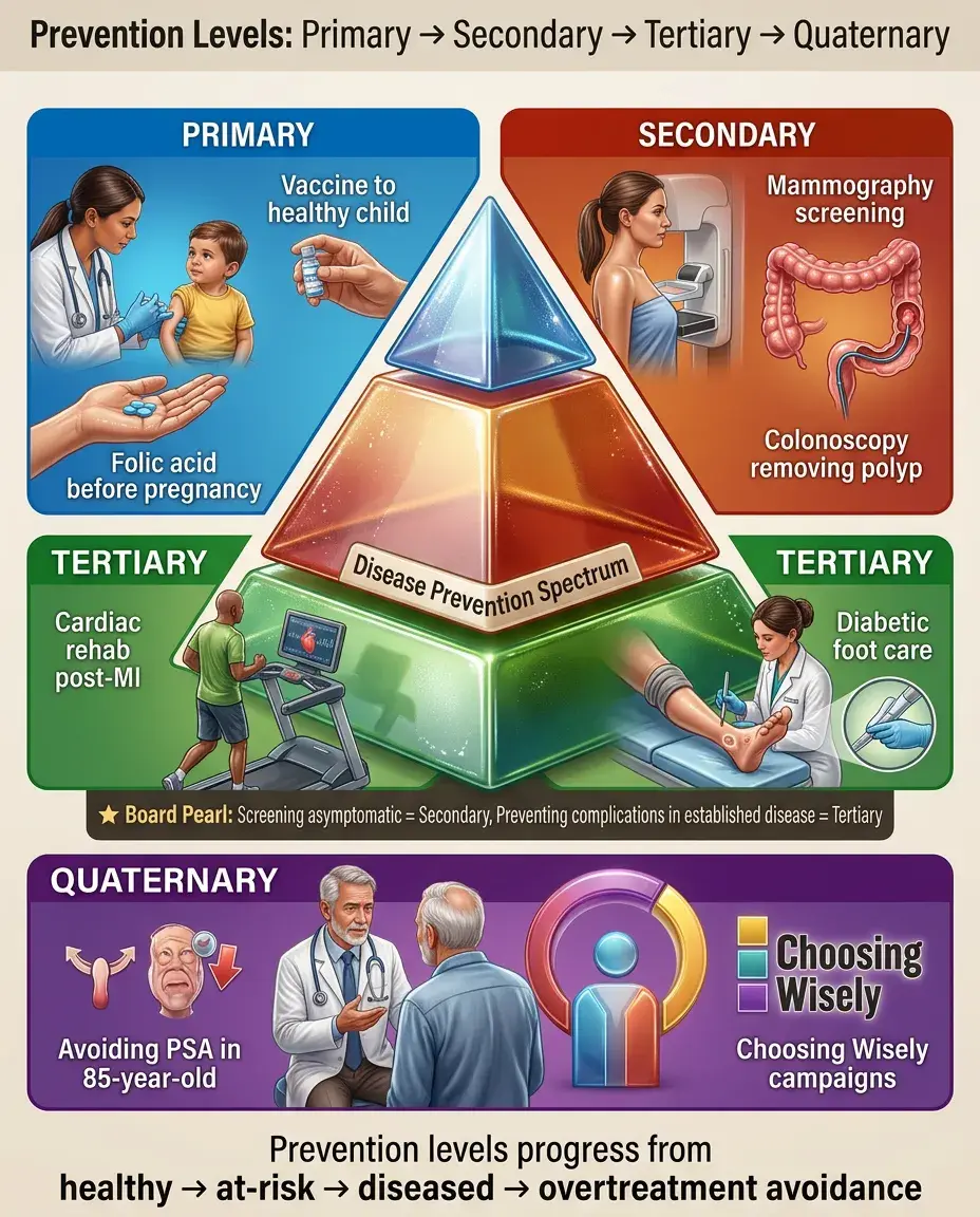 Solid White Background