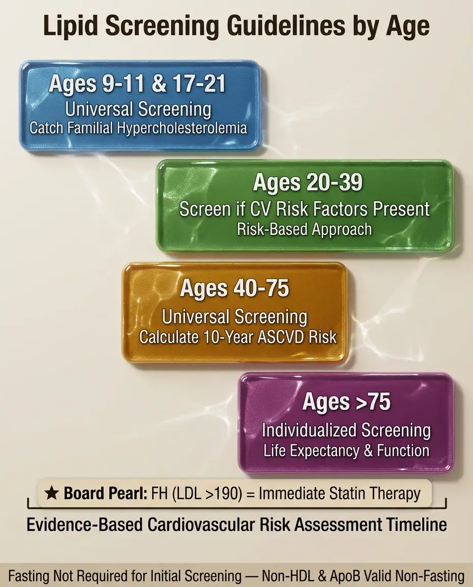 Solid White Background