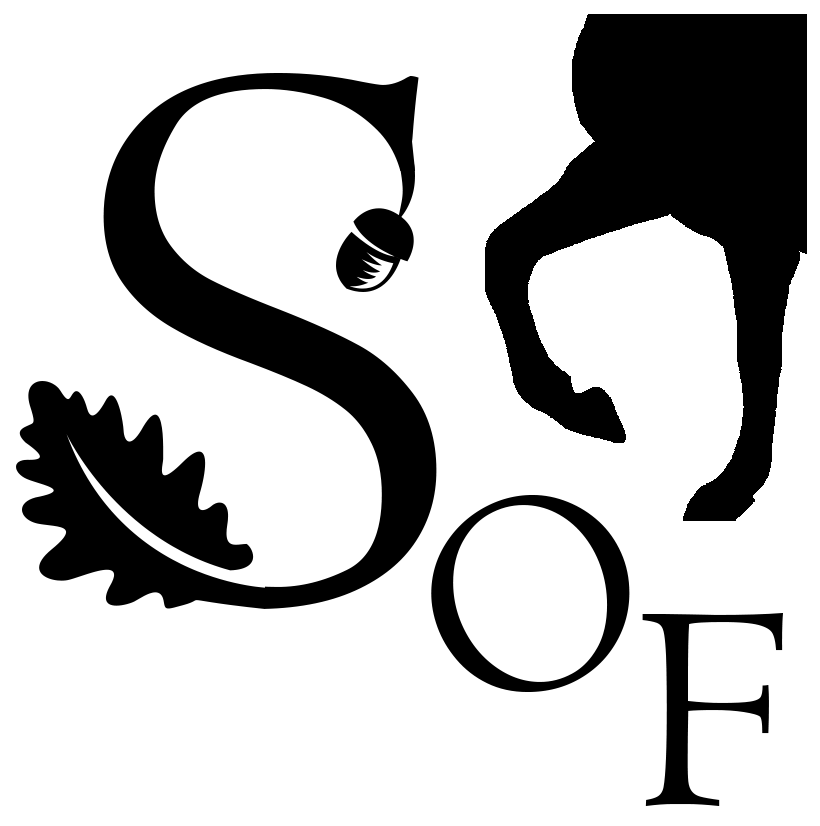 petitlogo.gif