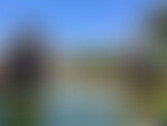 Новая жизнь острова Бигэ