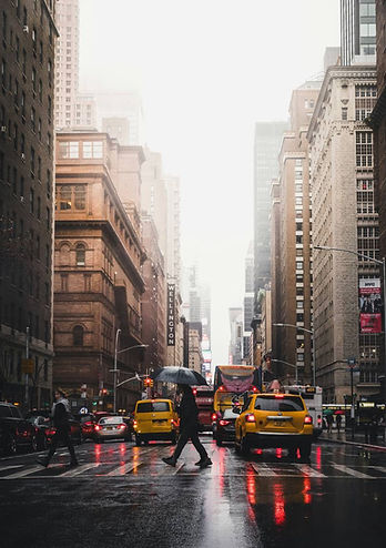 luke-stackpoole-FA8HEWO9Vd8-unsplash (1).jpg