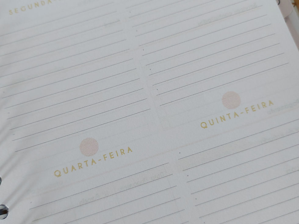 Miniatura: Agenda Organizadora de Festas