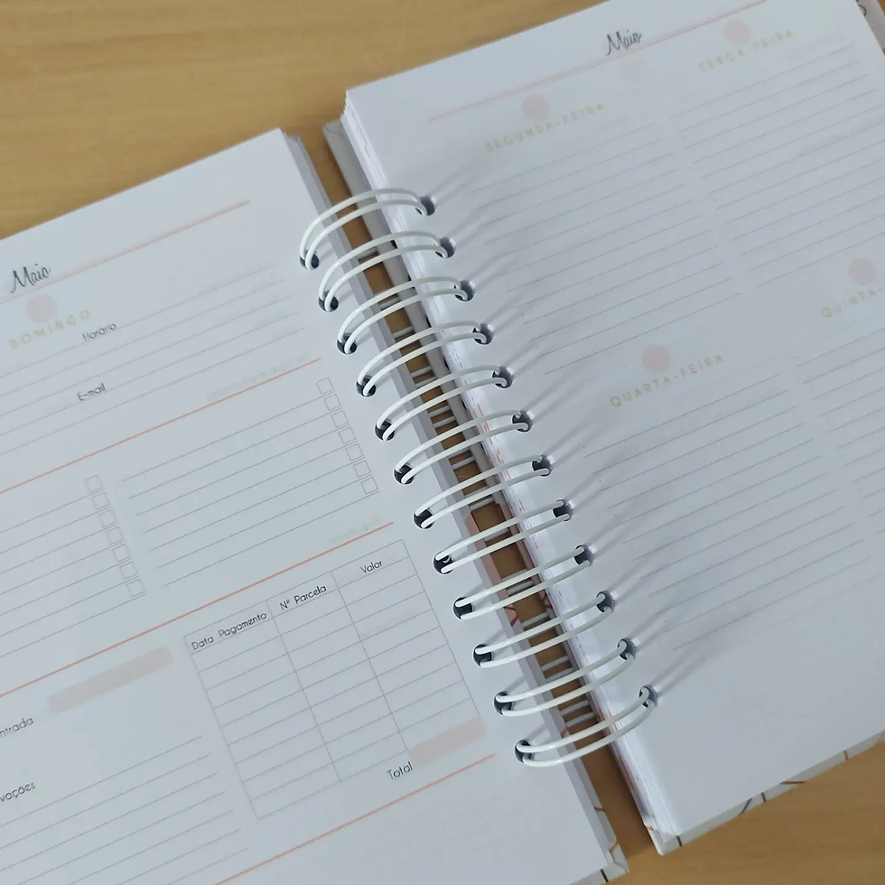 Miniatura: Agenda Organizadora de Festas