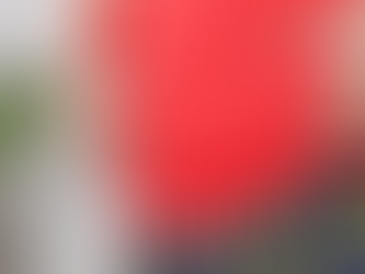 Gordura abdominal: mitos, verdades e um novo olhar.