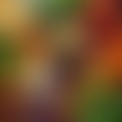 Alimentos Que Energizam: O Que Escolher e o Que Evitar Para Fluir Melhor