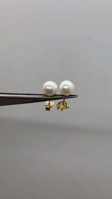 Thumbnail: 14K Akoya Pearl 7.75MM stud earring