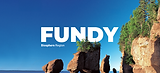 fundy6.png