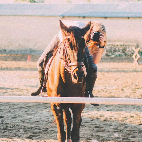 Do you perhaps wonder how I created my website?