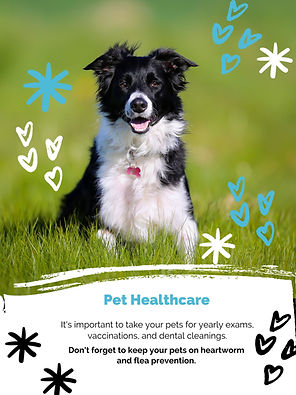 Pet Healthcare (1).jpg