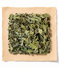 lemonbalm