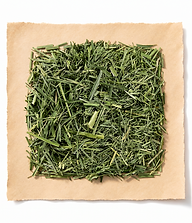lemongrass.png