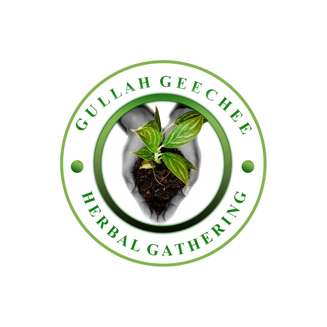 Gullah Geechee Herbal Gathering | Ancestral Plant Medicine & Cultural ...