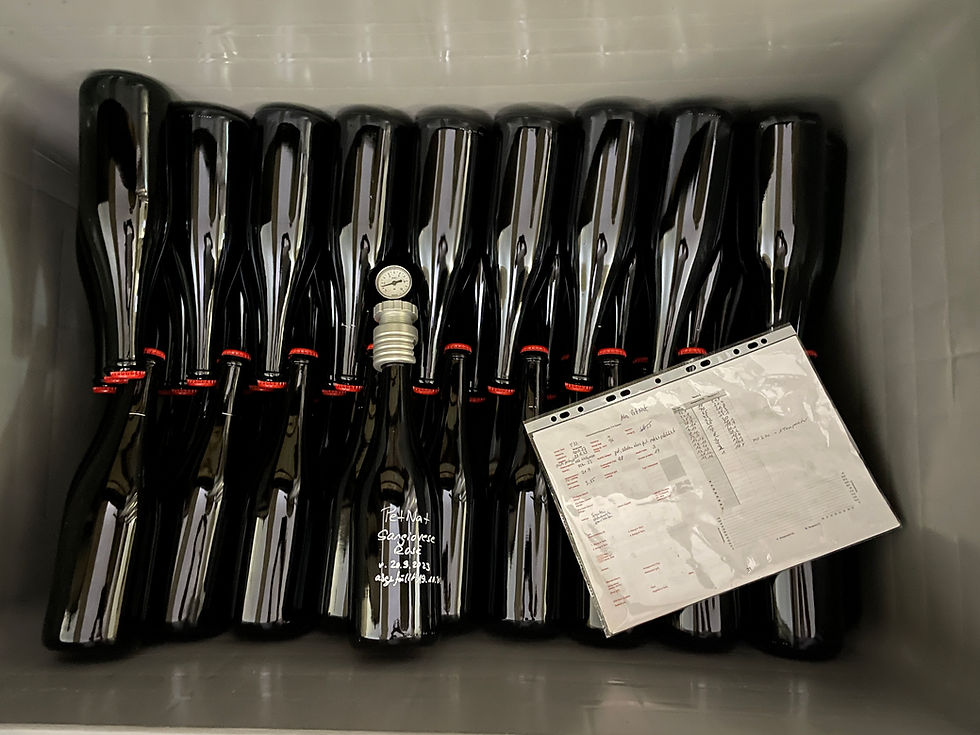 PET NAT Montepulciano/Rosé
