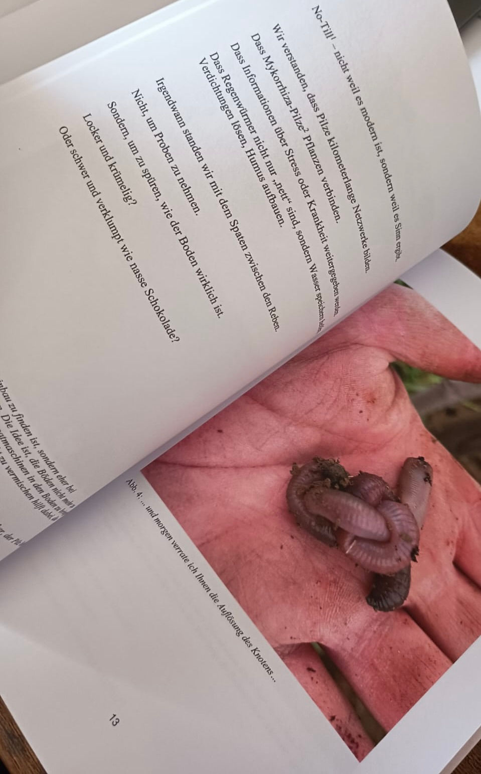 Miniaturbild: Das Buch zum Wein