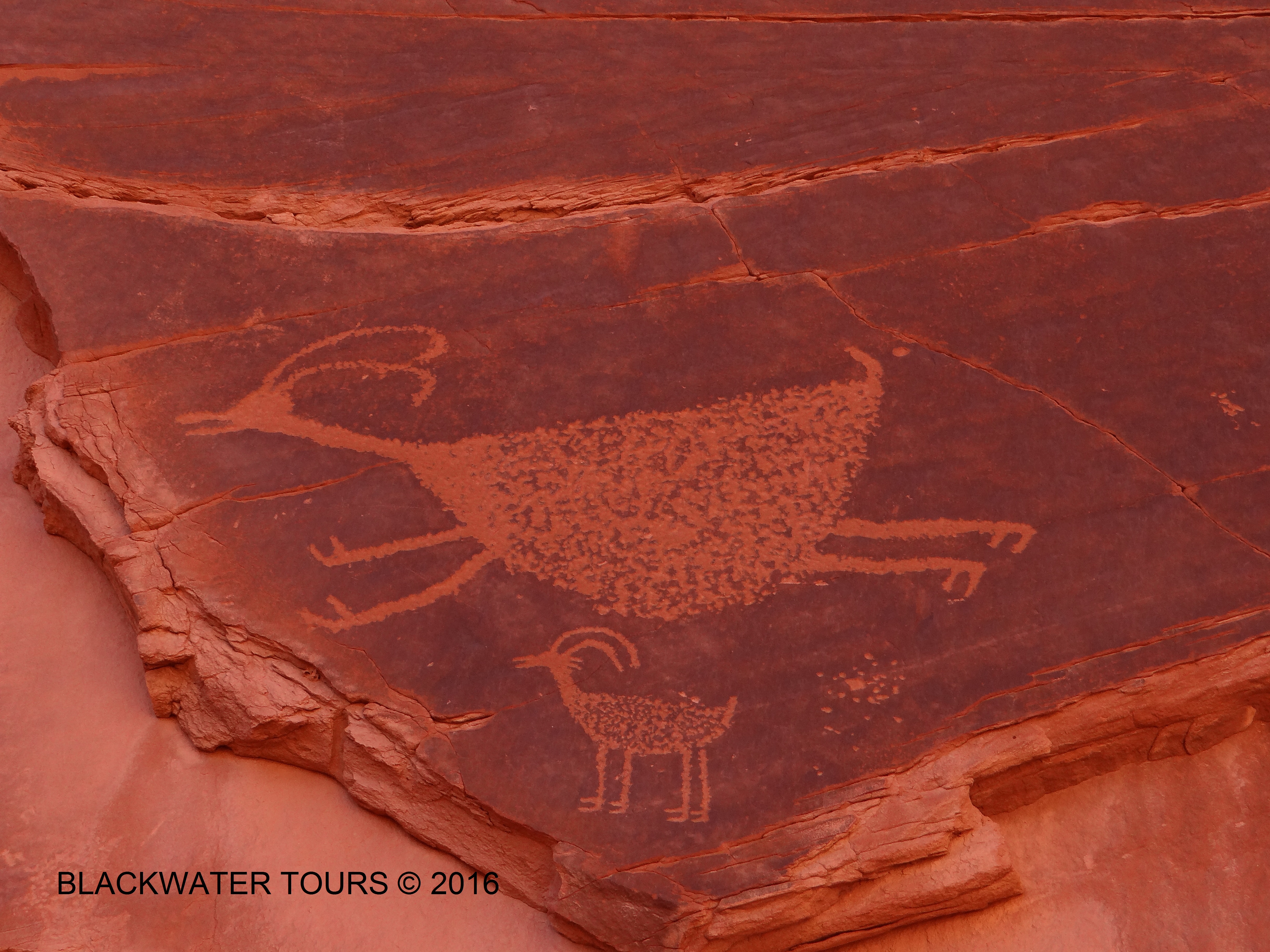 Petroglyph
