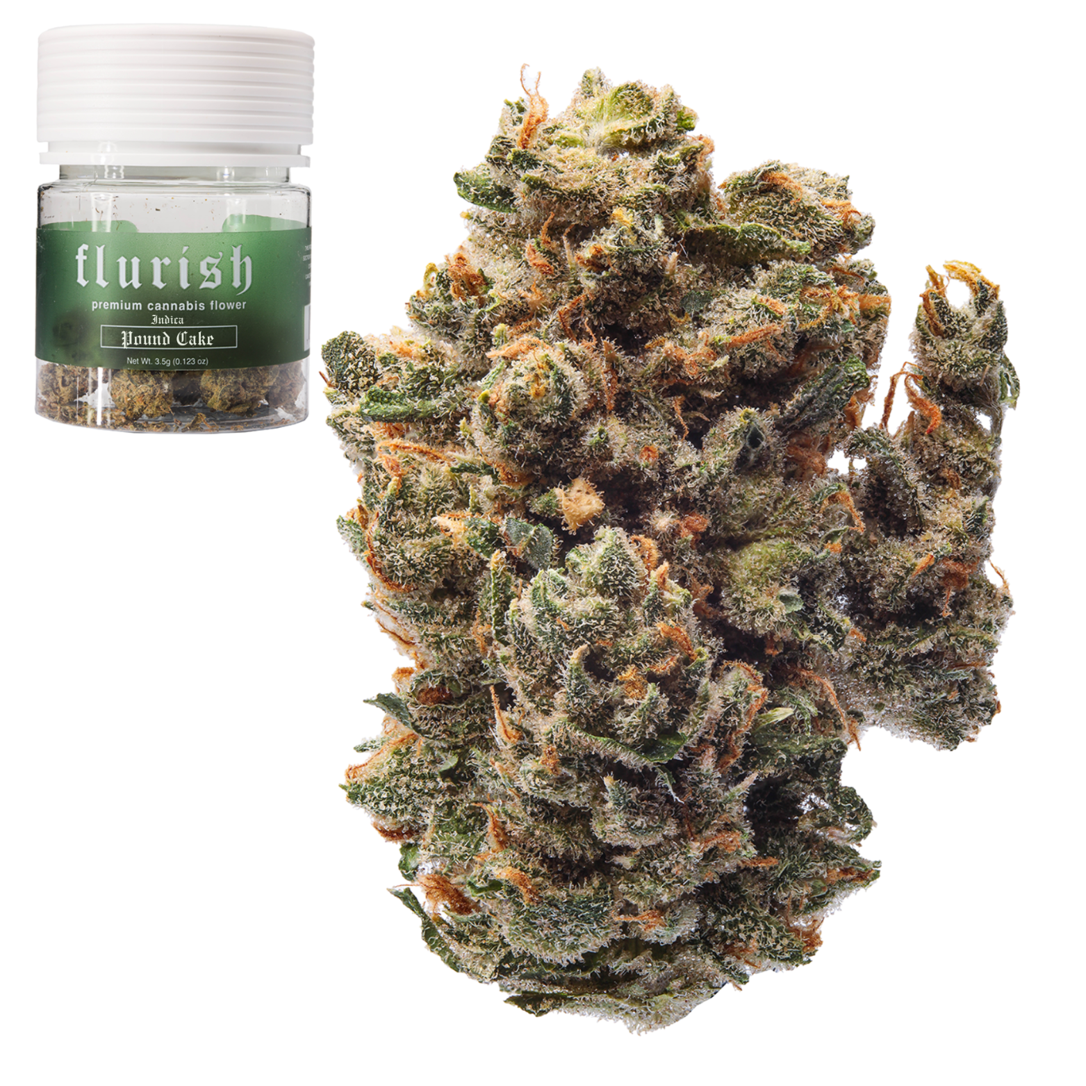 Flourish - Pound Cake 3.5g Flower