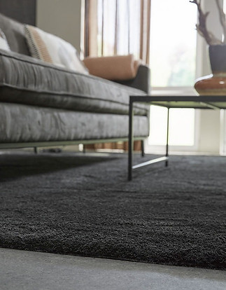 PLEASURE CARPET.jpg