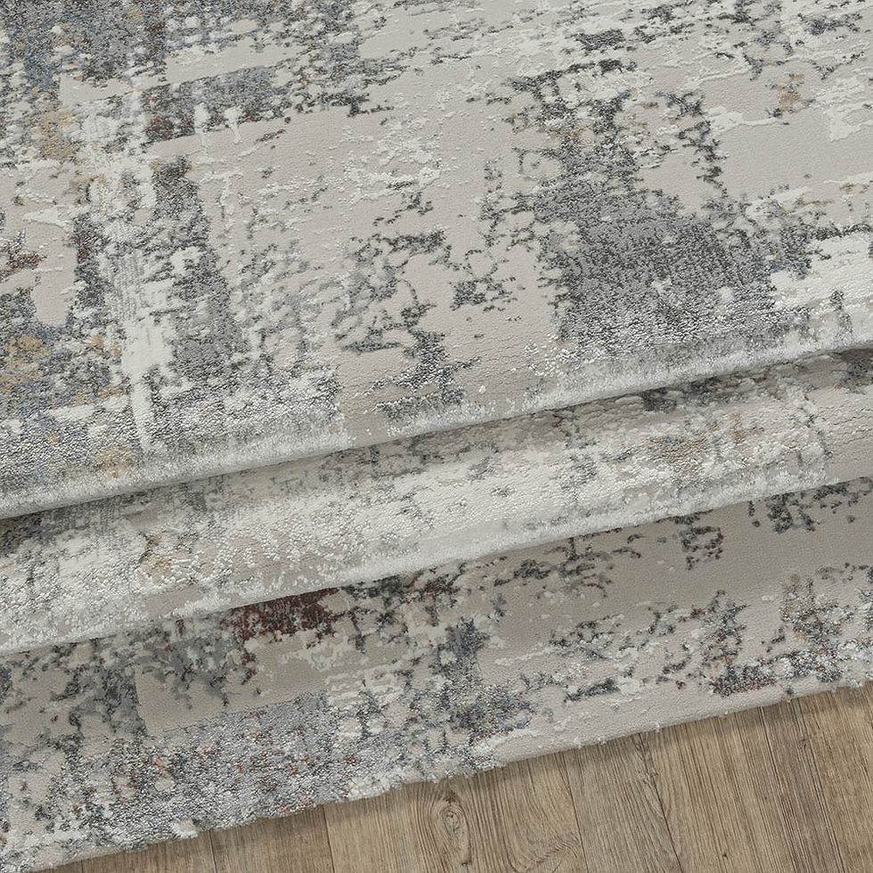 Thumbnail: RUG SANT 102330D