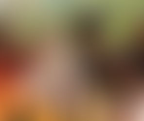 Empowering Women in Midlife Transitions: Rewrite Your Narrative