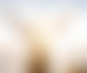 The Practice of Being Present