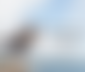 This is the single most important relationship in your life!