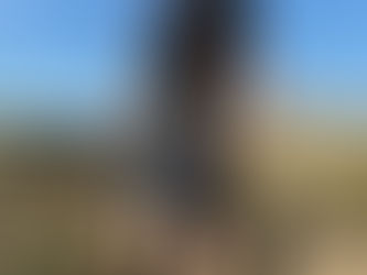 Where to Buy Quality Men's Kilts in the United Kingdom