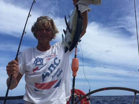 Caught Dinner