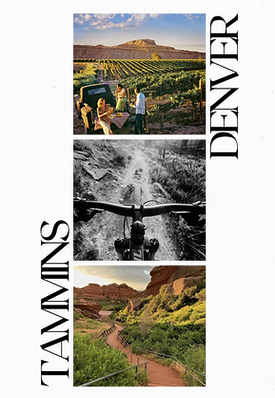 31.png