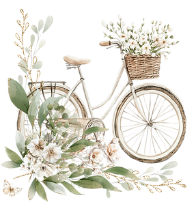 koláž bicykel.png
