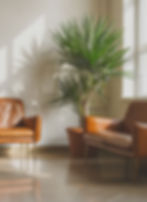 Upscale Waiting Room_edited.jpg