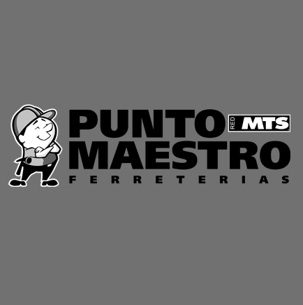 puntomaestro