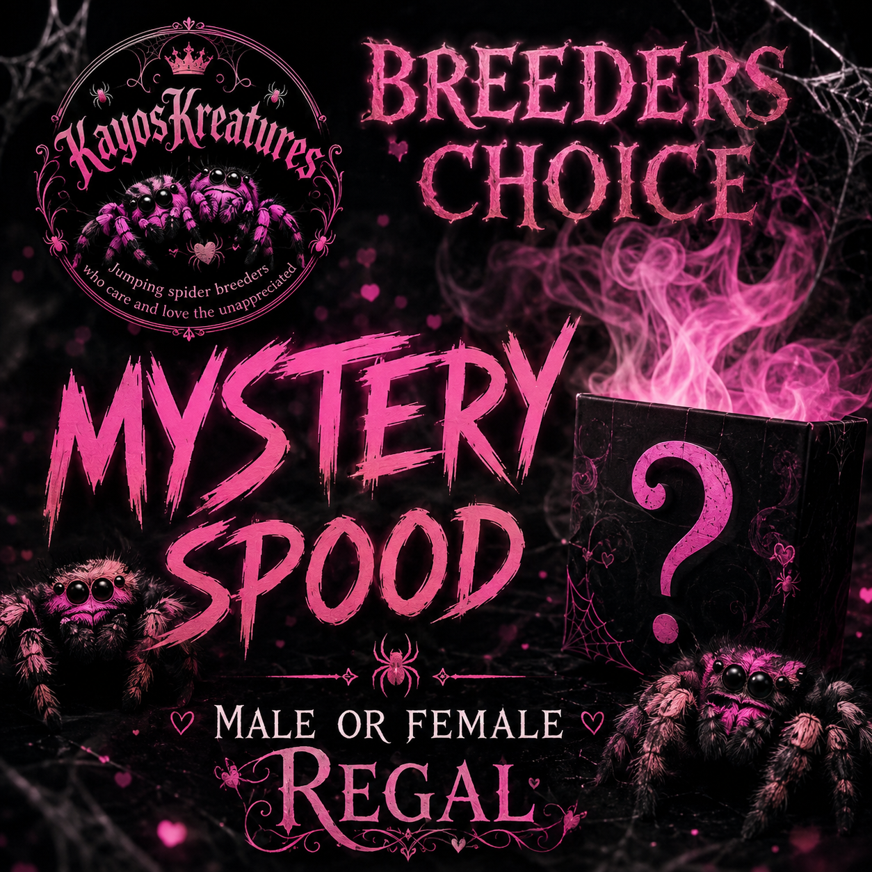 Breeders Choice male or female Regal 