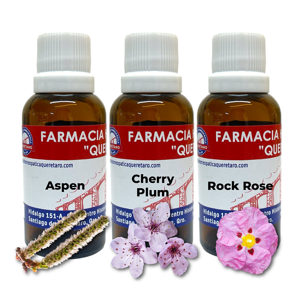 Fear No More Bravery Kit Flores de Bach