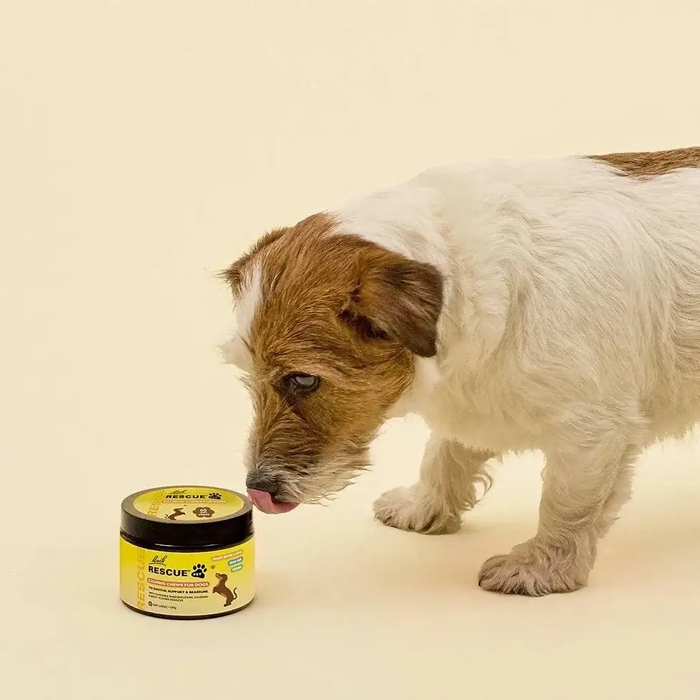Miniatura: RESCUE Masticables Tranquilizantes para Perros Original