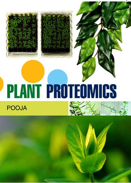 Plant Proteomics