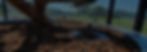 Home_Cover.jpg