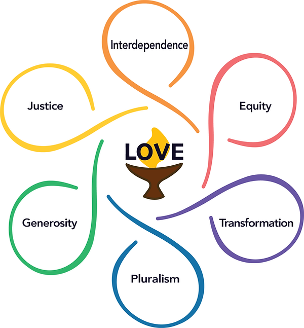 Article II Shared Values Flower Image.png