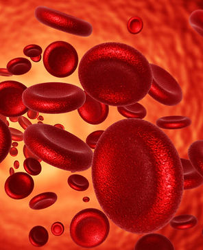 Blut Dunkelfeldtherapie.jpg