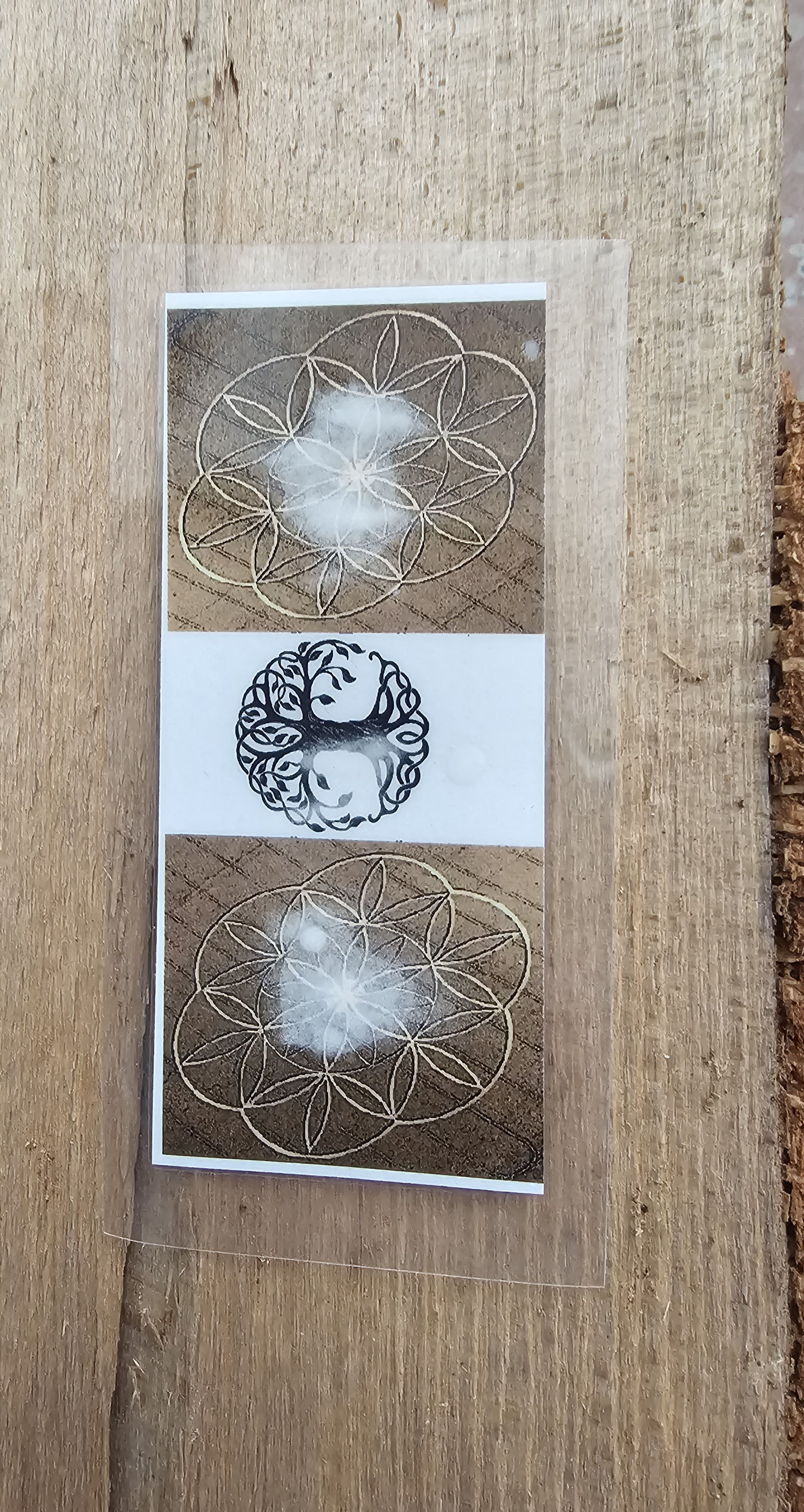 Fremdeinflüsse reinigen & Schutz vor 5G