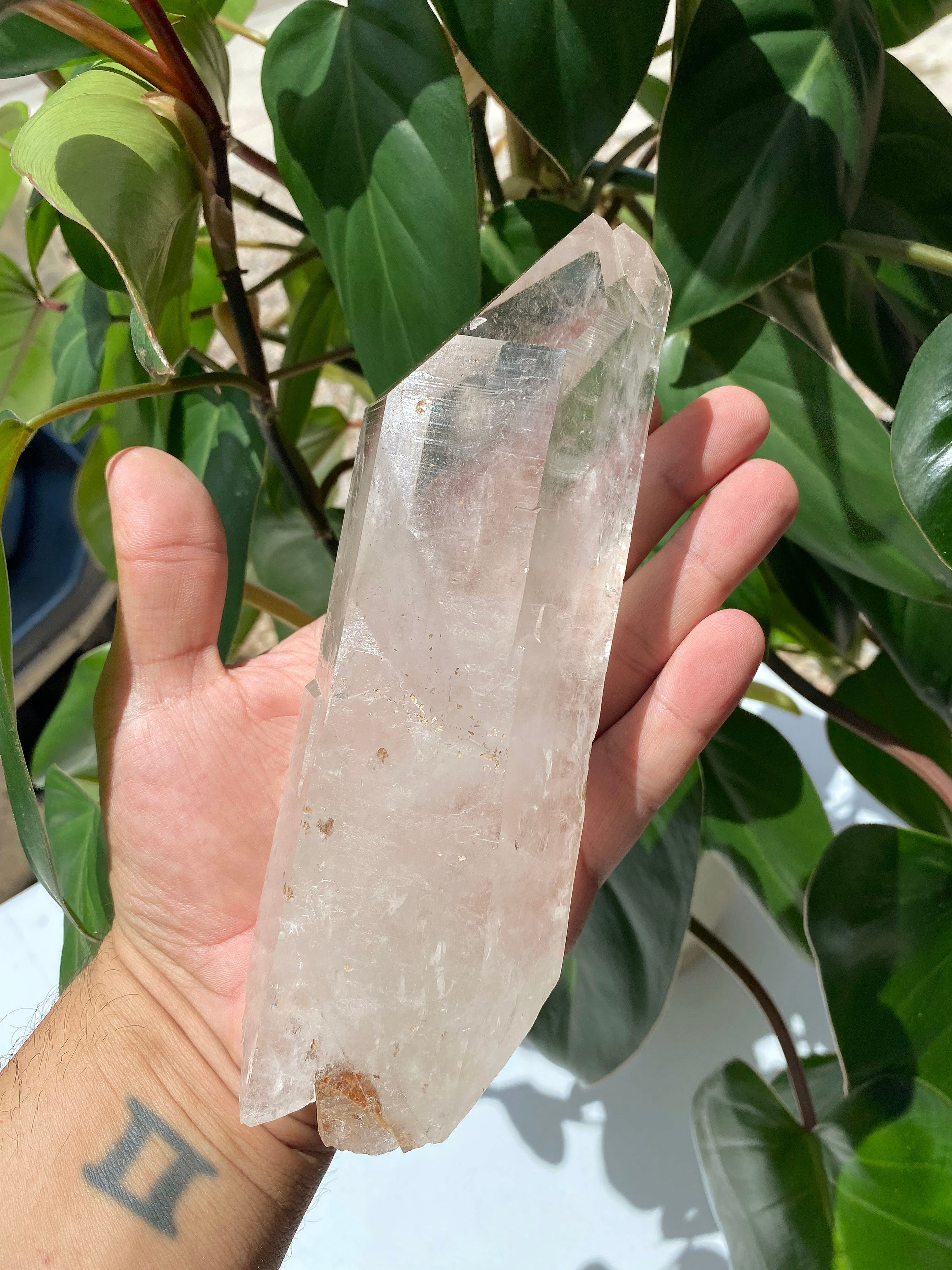 Lemurian Point