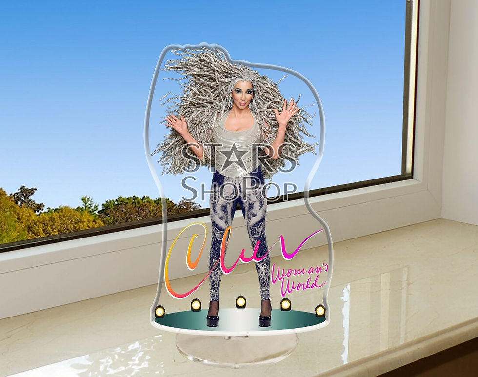 cher believe, cher figure, cher doll, cher merch, cher gift, cher collectibles, cher memorabilia, cher music, cher rare, cd