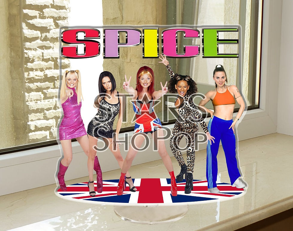 Spice Girls "Spice World" Figure Acrylic, Spice Girls Standee, Spice Girls Doll