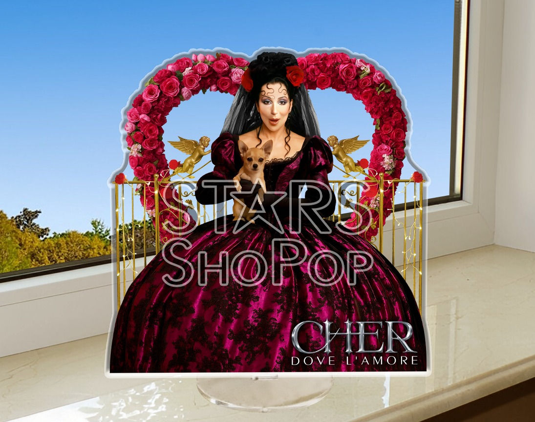 cher believe, cher figure, cher doll, cher merch, cher gift, cher collectibles, cher memorabilia, cher music, cher rare, cd