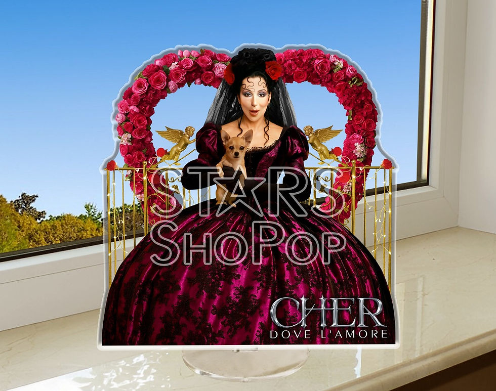cher believe, cher figure, cher doll, cher merch, cher gift, cher collectibles, cher memorabilia, cher music, cher rare, cd