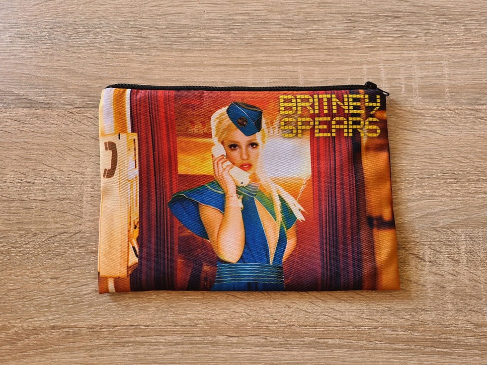Thumbnail: Britney Spears "Toxic" Toiletry Bag