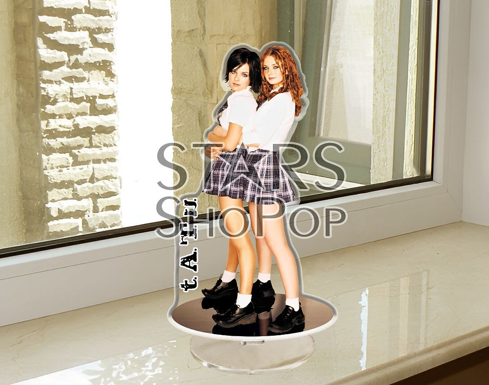 t.A.T.u. "All the Things She Said" Figure Acrylic, Standee